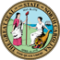 cary drug treatment centers State Seal